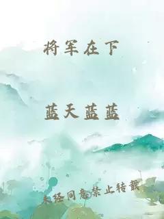 将军在下