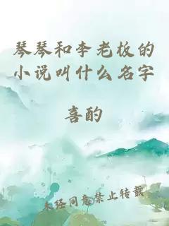 琴琴和李老板的小说叫什么名字