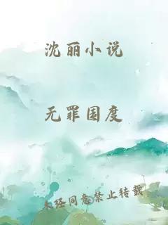 沈丽小说