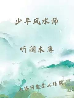 少年风水师