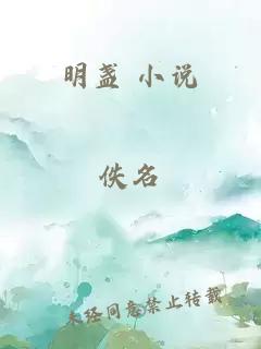 明盏 小说