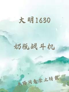 大明1630