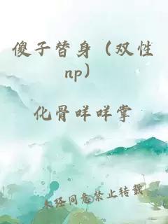 傻子替身（双性np）