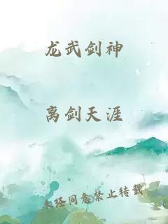 龙武剑神