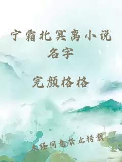 宁霜北冥离小说名字