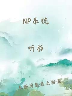 NP系统