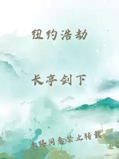 纽约浩劫