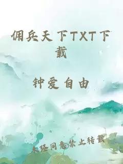 佣兵天下TXT下载