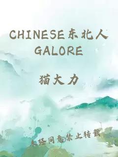 CHINESE东北人GALORE