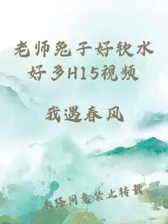 老师兔子好软水好多H15视频