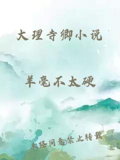 大理寺卿小说