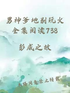 男神爹地别玩火全集阅读738