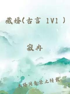 藏婚(古言 1V1 )