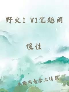 野火1 V1笔趣阁