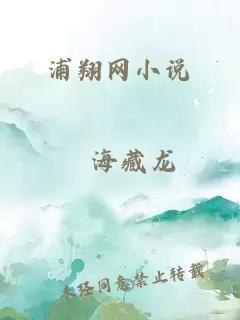 浦翔网小说