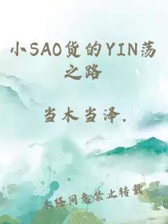 小SAO货的YIN荡之路