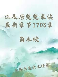 江辰唐楚楚最快最新章节1703章