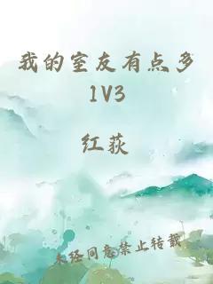 我的室友有点多1V3