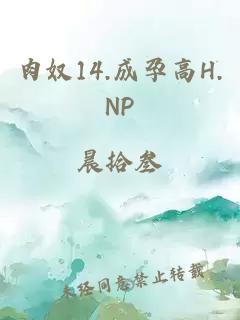 肉奴14.成孕高H.NP