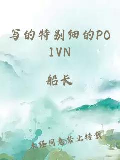 写的特别细的PO1VN