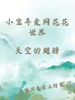 小宝寻爱网花花世界