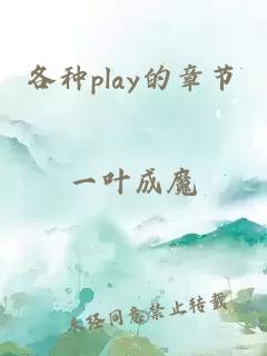 各种play的章节