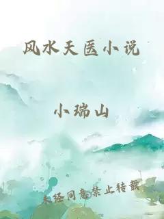 风水天医小说