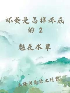 坏蛋是怎样炼成的 2