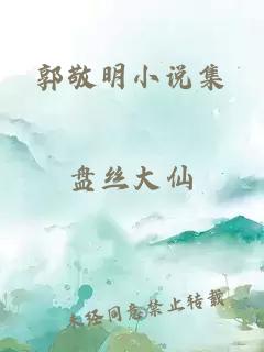 郭敬明小说集