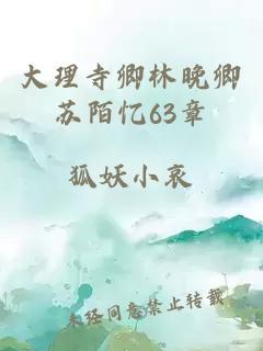 大理寺卿林晚卿苏陌忆63章