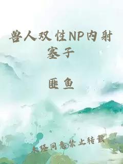 兽人双性NP内射塞子