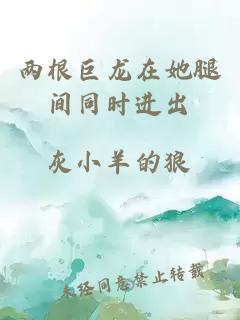 两根巨龙在她腿间同时进出