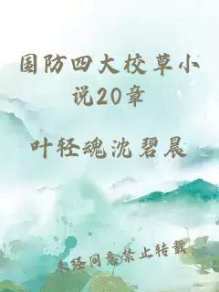 国防四大校草小说20章