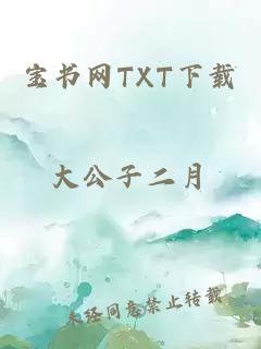 宝书网TXT下载