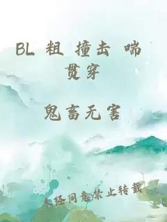 BL 粗 撞击 喘 贯穿