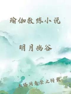 瑜伽教练小说