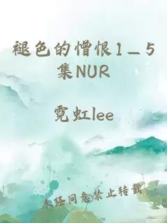 褪色的憎恨1—5集NUR