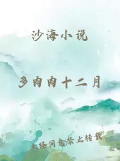 沙海小说