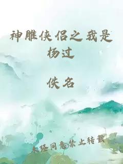 神雕侠侣之我是杨过