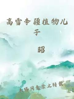 高雪李疆植物儿子