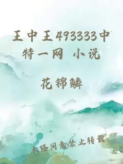 王中王493333中特一网 小说