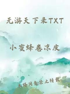 无游天下录TXT