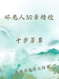 坏老人30章精校