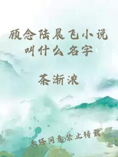 顾念陆晨飞小说叫什么名字