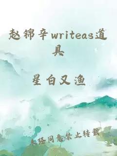 赵锦辛writeas道具