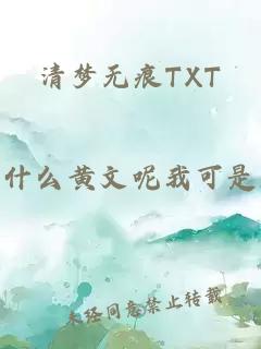 清梦无痕TXT