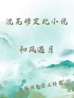 沈芜穆定北小说