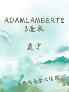 ADAMLAMBERT23厘米