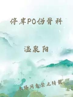 停岸PO伪骨科