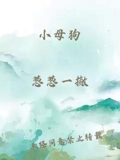 小母狗